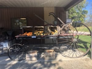 Ashton Orchard Cider Mill sells fruits, vegetables, bakery items and apple cider. They have a bakery, shop, picnic area and children's play area.