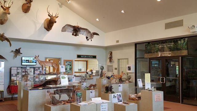 exhibits in the nature center