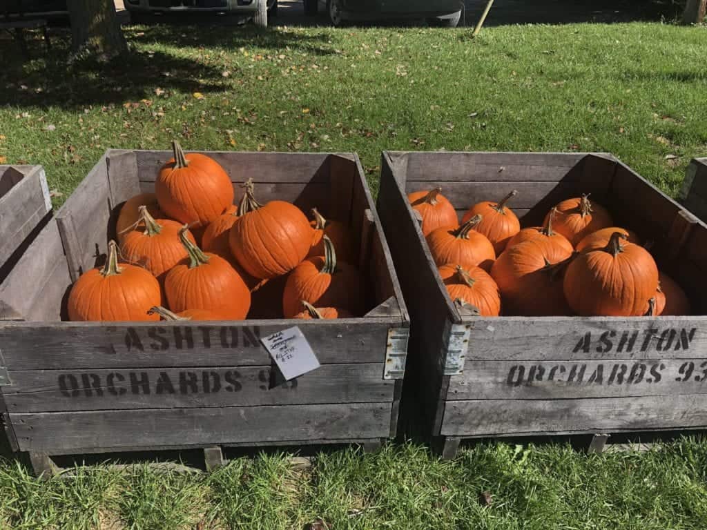 Ashton Orchards Cider Mill in Ortonville, Michigan ⋆ Metro Detroit Mommy