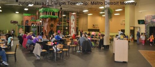 Jungle Java in Clinton Township 16 Jungle Java