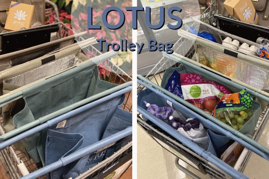 Jump on the Reusable Grocery Bag Bandwagon with the Lotus Trolley Bag System 27 lotus trolley bags
