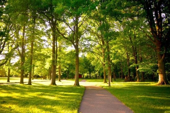 Jaycee Park Pathway in Troy, Michigan