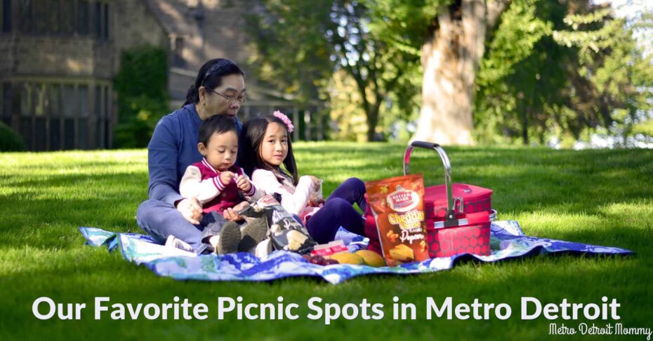 Twenty Great Metro Detroit Picnic Spots 13 picnic fb scaled