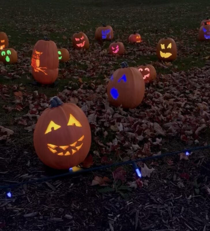 Detroit Zoo Boo 2026: Trick-or-Treating, Animals and Halloween Fun 6 IMG 7548 2 1