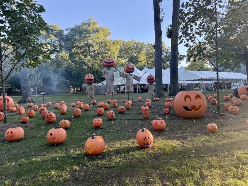 Detroit Zoo Boo 2026: Trick-or-Treating, Animals and Halloween Fun 3 detroit zoo boo