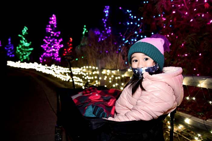 a stroll through the Christmas trees at the Detroit Zoo Wild Lights event.  