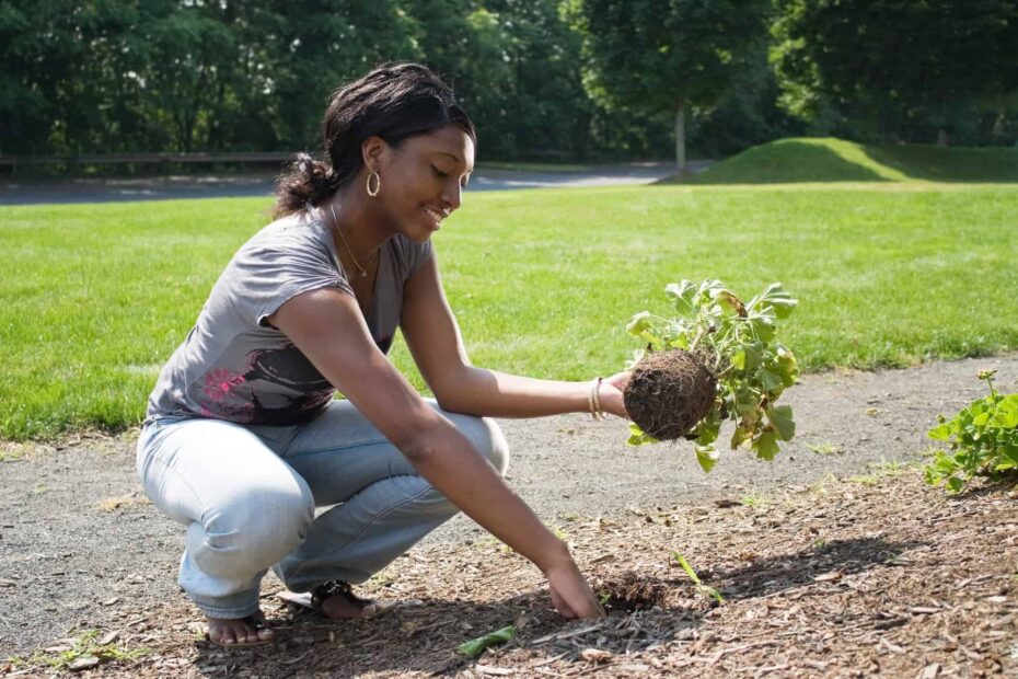3 of the Best Landscaping Projects to Tackle Come Spring 10 landscaping scaled
