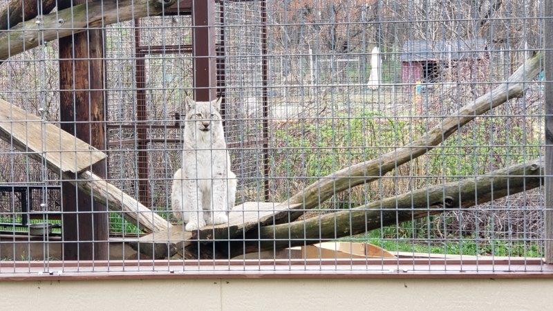 Indian Creek Zoo Lambertville 2