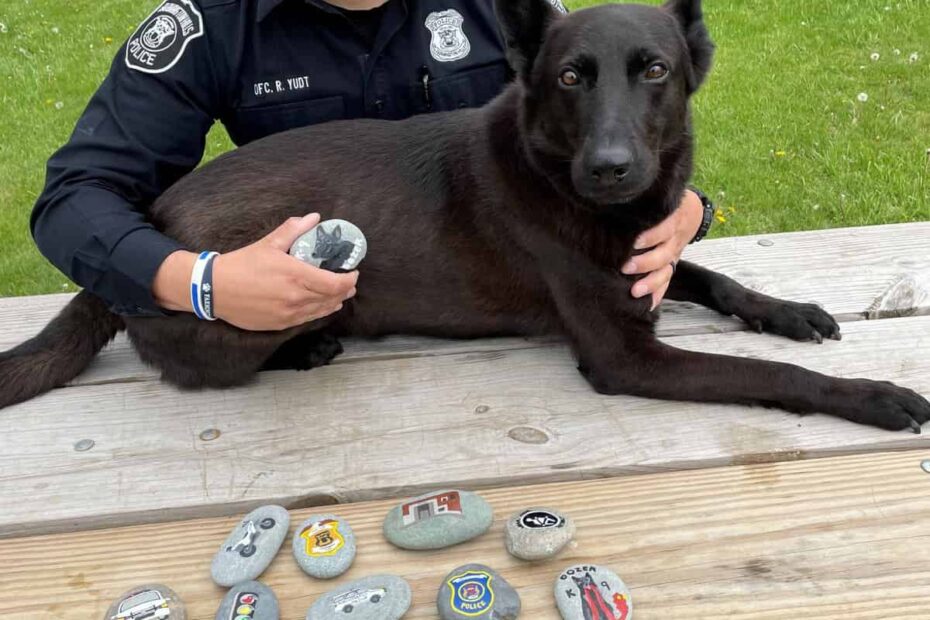 The Farmington Hills Police Department Rocks! 7 Officer Ryan Yudt and K9 Officer Dozer scaled