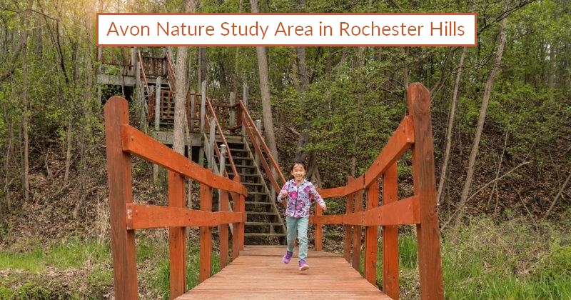 Avon Nature Study Area Rochester Hills