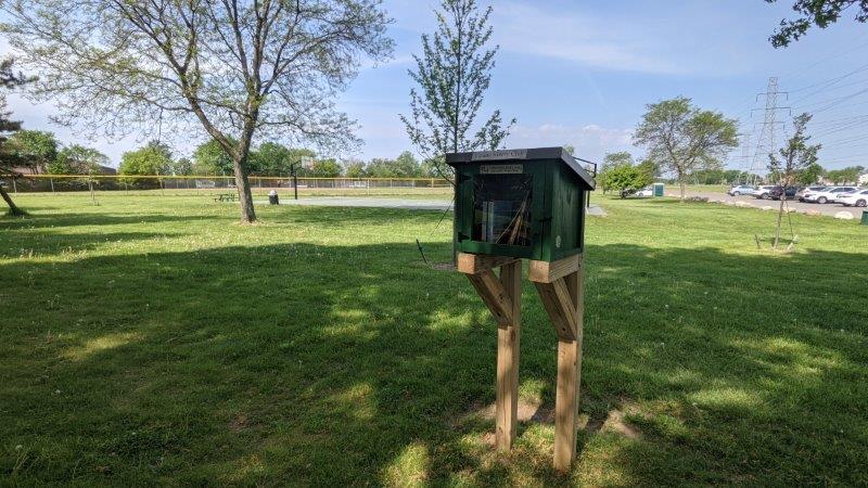 Little Free Library in Canton