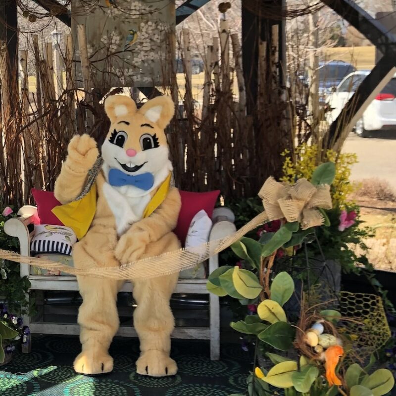 easter bunny at village of Rochester HIlls