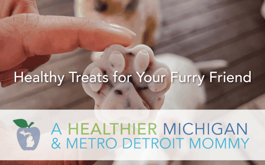 Healthy Treats for Your Furry Friend 24 image 4