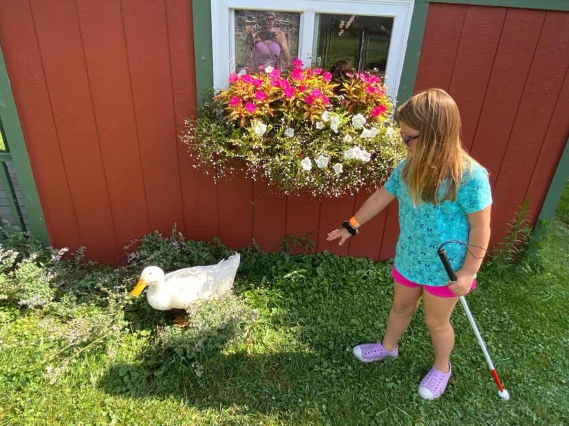Carousel Acres Petting Farm: Amazing Day of Family Fun 18 Carousel Acres Petting Farm
