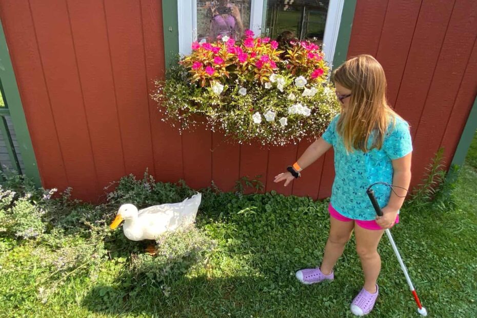 Carousel Acres Petting Farm: Amazing Day of Family Fun 11 Carousel Acres Petting Farm