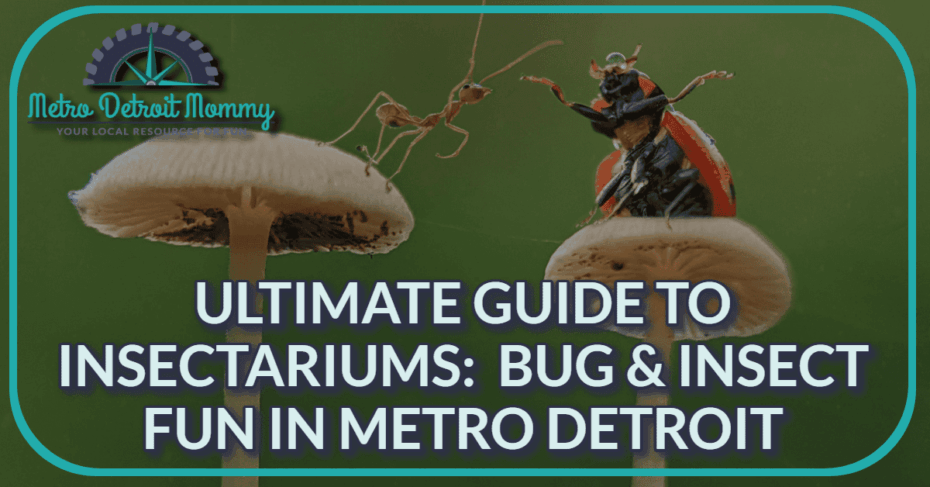 New Ultimate Guide: Insectariums, Bug & Insect Fun In Metro Detroit 11 MDM Feature Insectarium