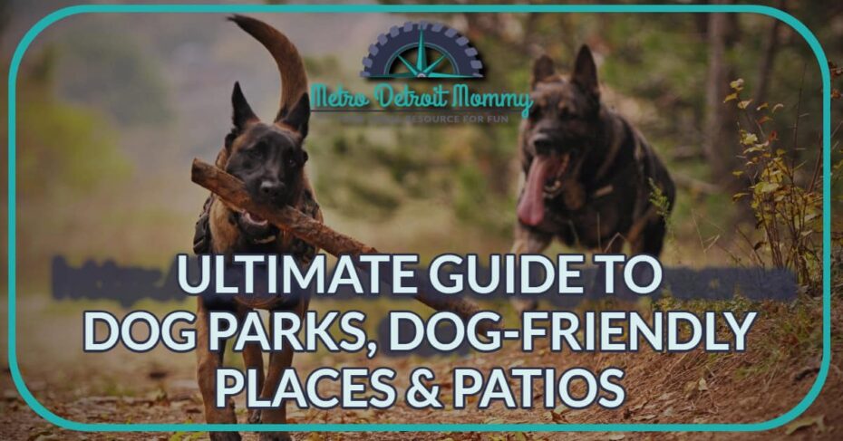 Metro Detroit Dogs: Ultimate New Guide To Dog Parks, Dog-Friendly Places & Patios 9 MDM Feature Guide Dog Parks Patios