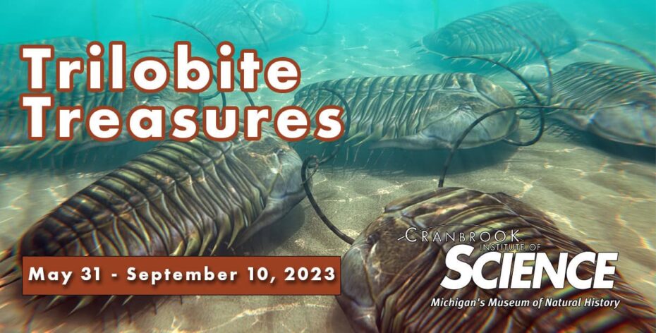New Traveling Exhibition- Trilobite Treasures: Arthropods of the Ancient Seas 11 Trilobite Treasures