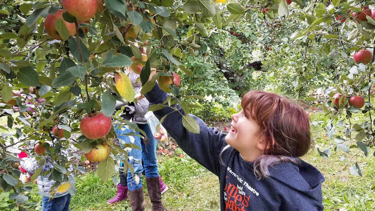 Armada Blakes Cider Mill u pick farm near me