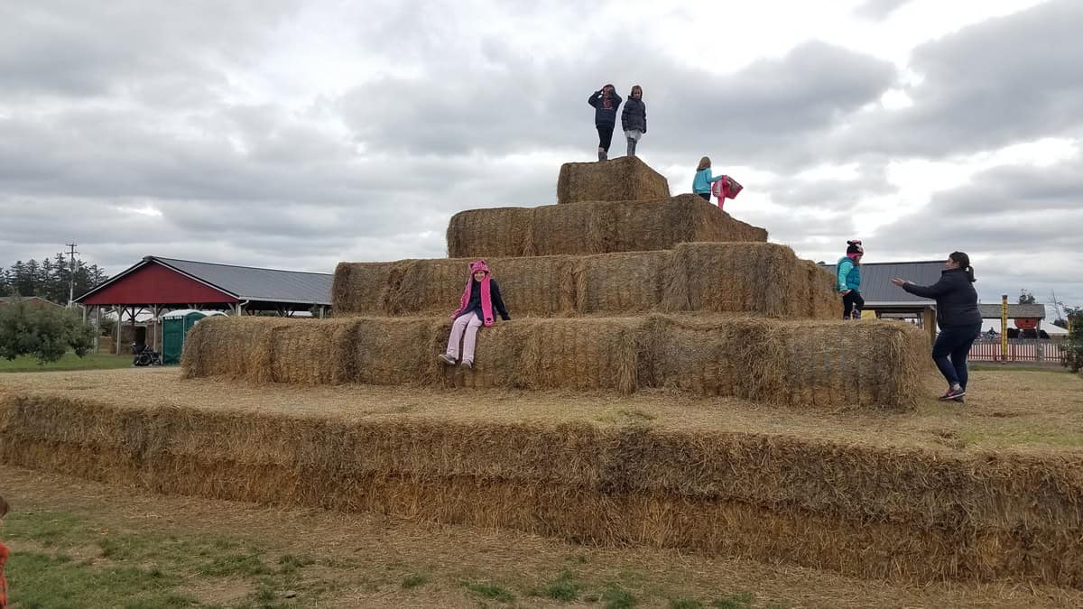 Armada Blake's Funland Hay Stack