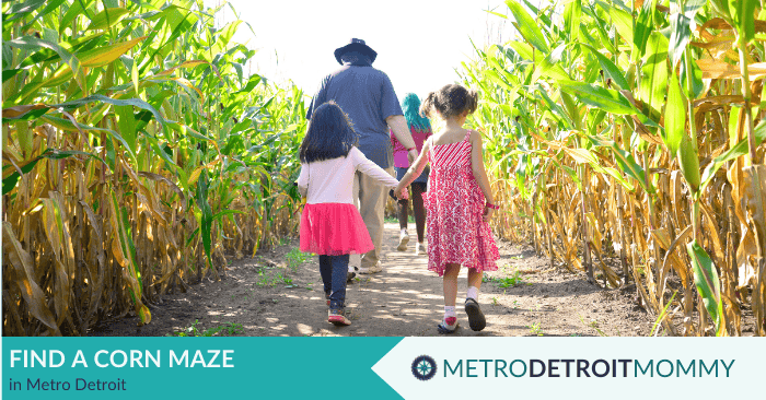 find a corn maze near me