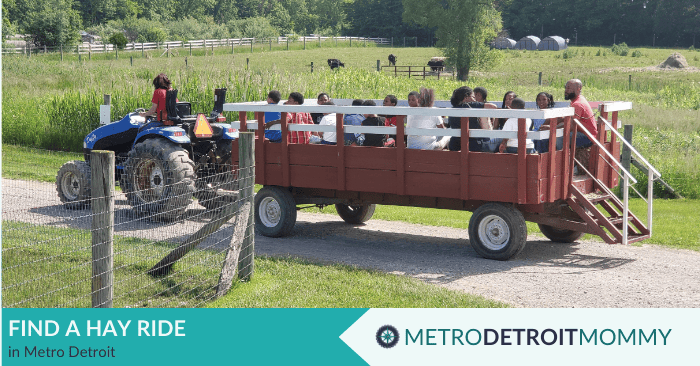 find a hay ride near me