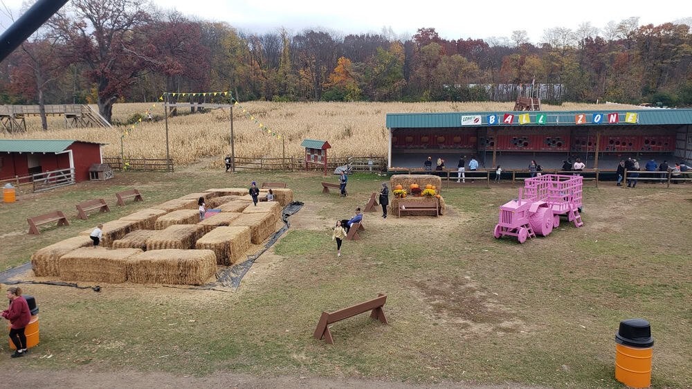 corn maze near me at Long Family Orchard in Commerce Township, Michigan
corn mazes