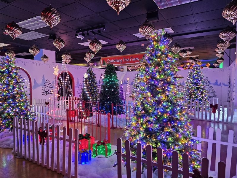 Christmas Trees at Oakland Mall Winter Wonderland Extravaganza