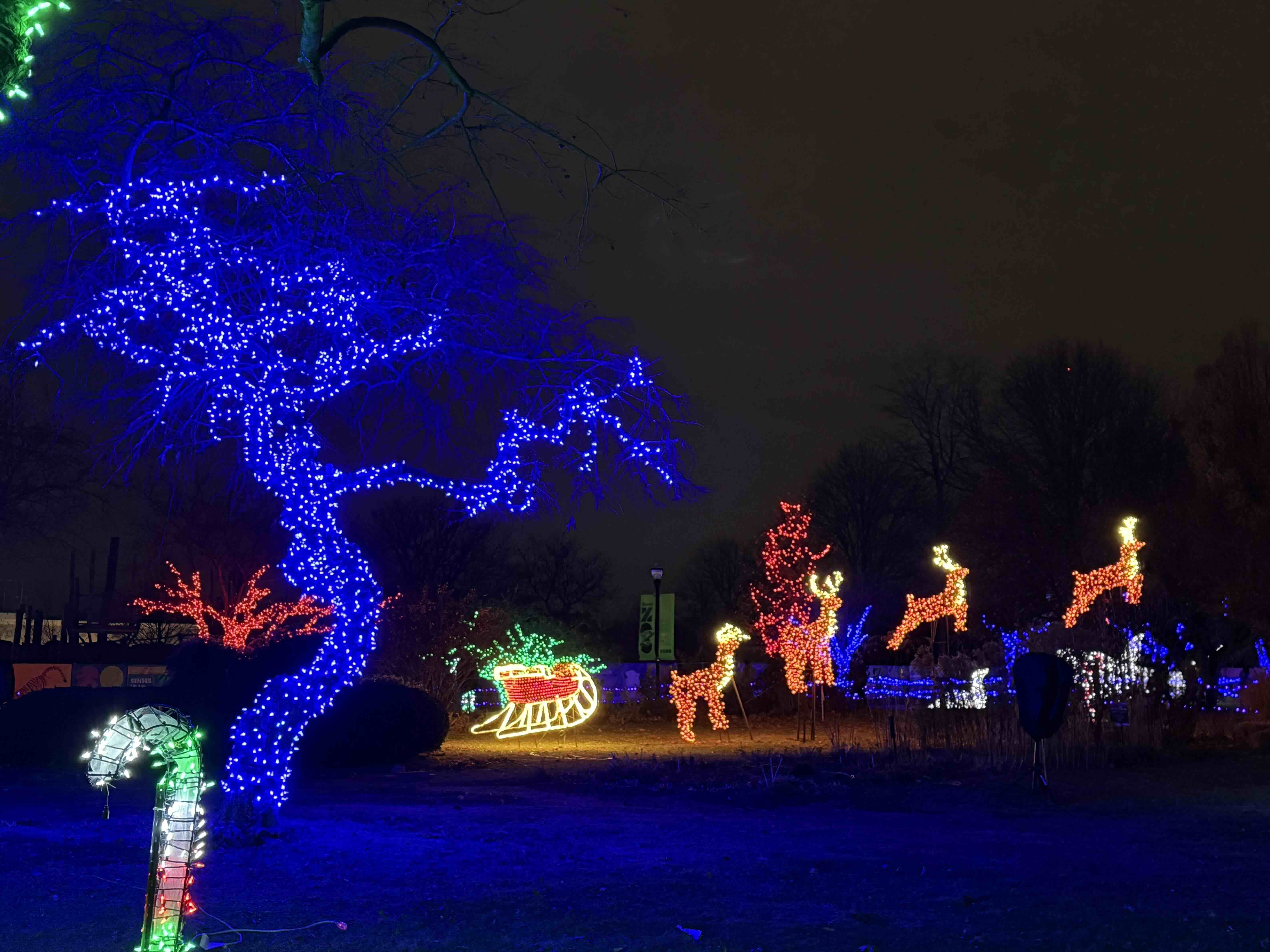detroit zoo lights