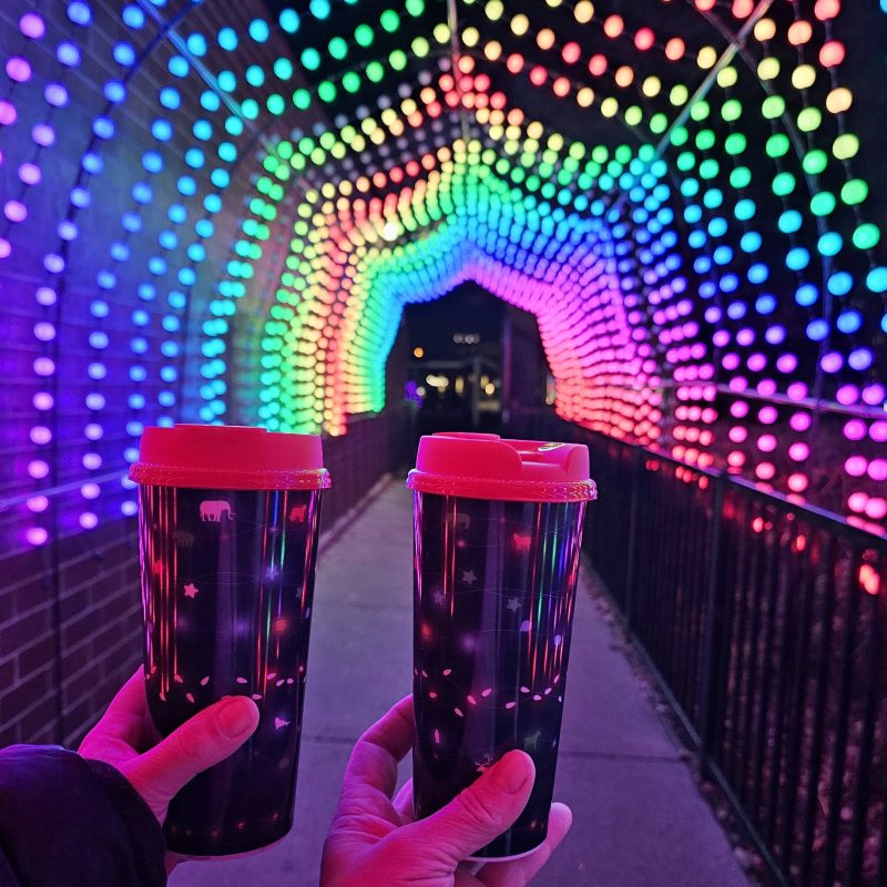 Wild Lights Total Experience - souvenir cups with free hot chocolate refils