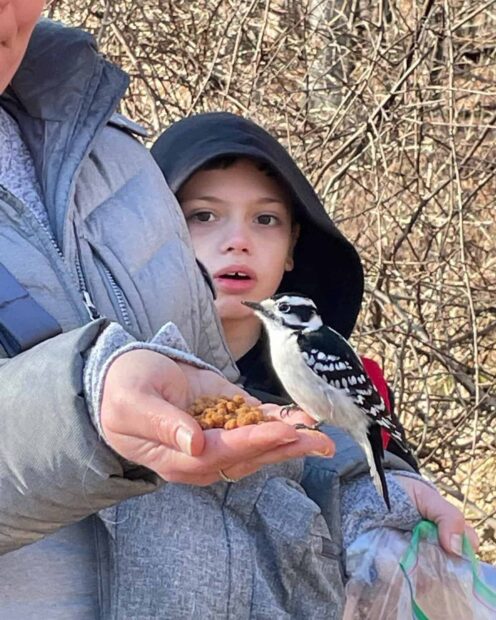 A Bird Feeding Delight at Kensington Metropark 4 410787108 2062685587424988 6310185828583005201 n
