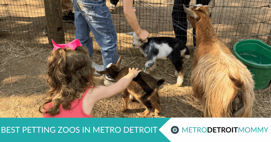 2025 Best Petting Zoos Near Metro Detroit 10 Untitled LinkedIn Single Image Ad 2.png