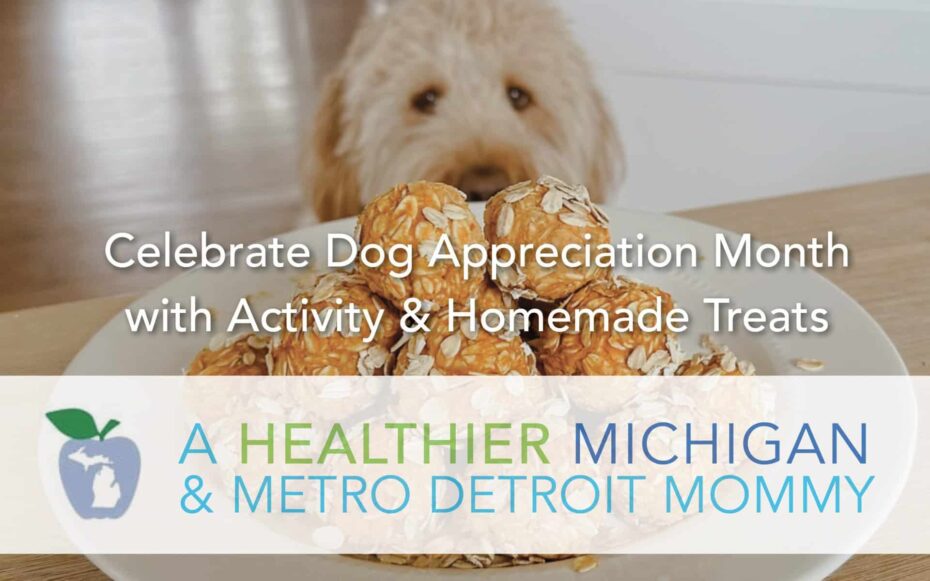 Celebrate Dog Appreciation Month with Activity and Homemade Treats 2 MDM DogTreats scaled