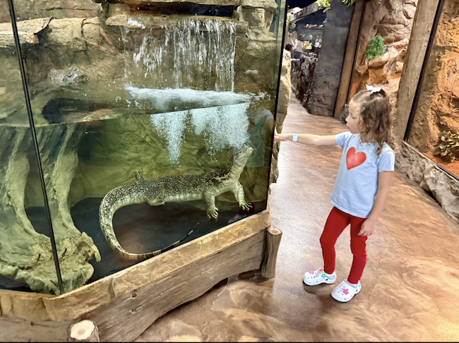 Legasea Reptarium & Aquarium in Utica - A Fascinating Encounter with Reptiles & Aquatic Creatures 5 View recent photos 4