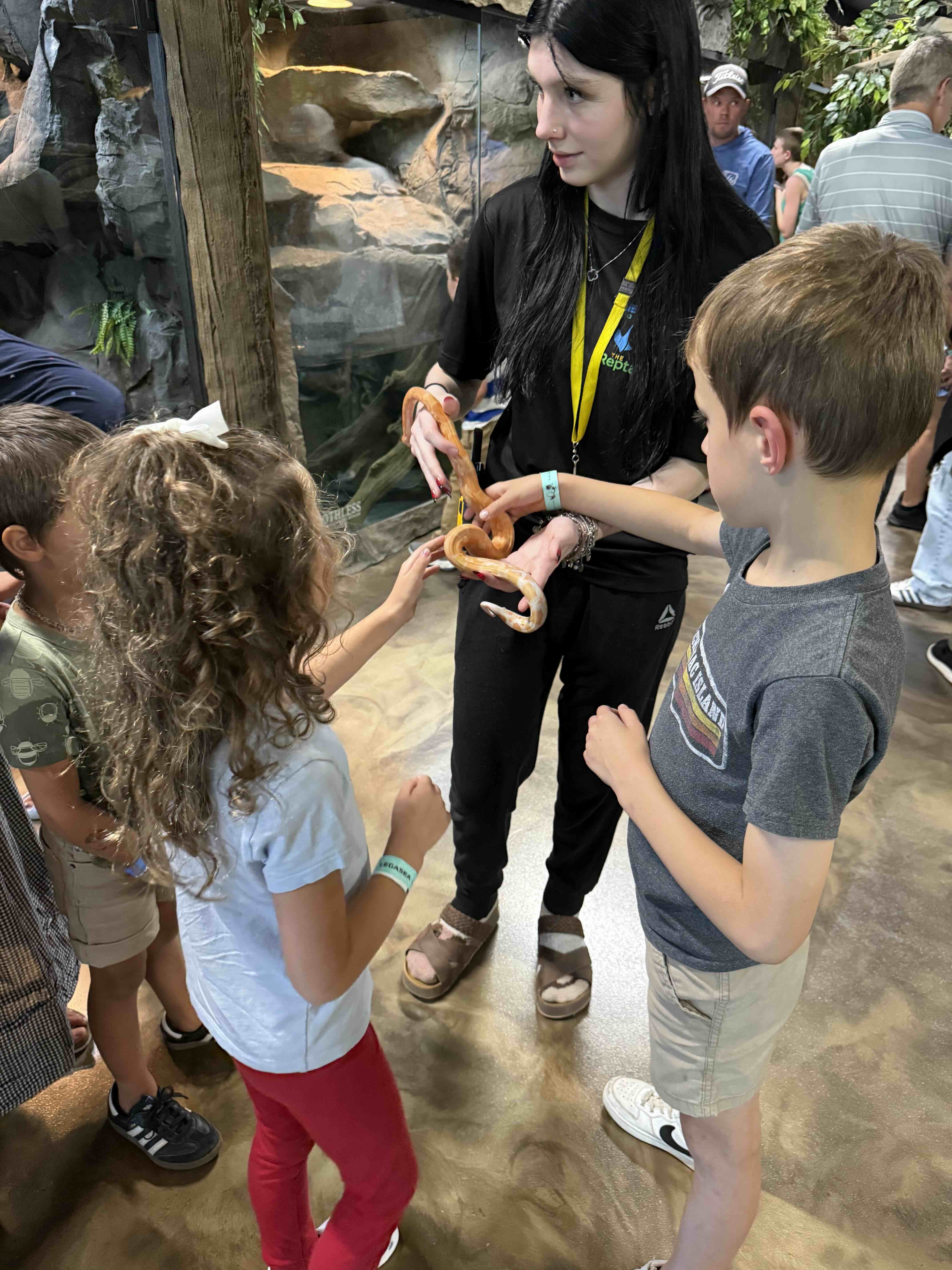 Legasea Reptarium & Aquarium in Utica - A Fascinating Encounter with Reptiles & Aquatic Creatures 11 legasea1