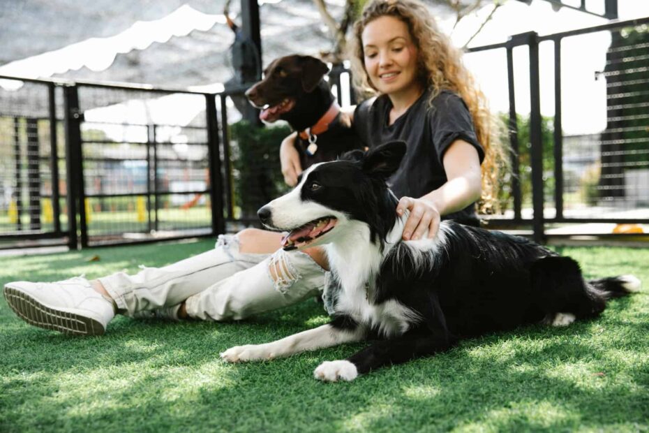 Harnessing Your Pup's Natural Instincts with Futuristic Collars for the Modern Dog 3 059568A8 37FD 4435 AE14 C86699020AED 1 scaled