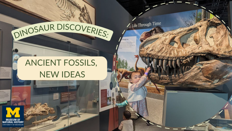 ann arbor museum dinsaurs