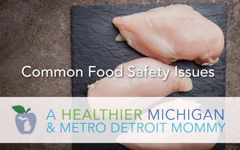 Common Food Safety Issues 13 MDM FoodSafety