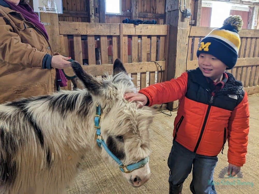 Northville Maybury Farm - petting zoo near me