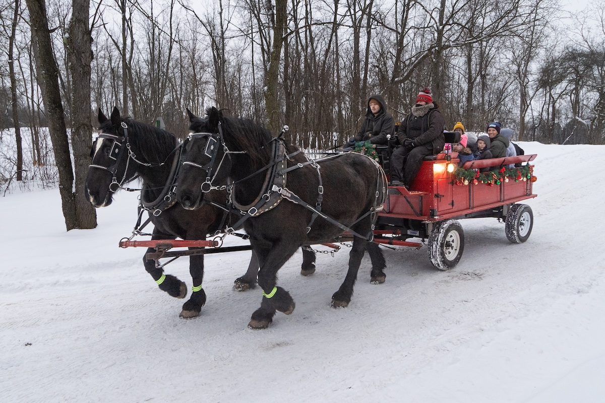 Family Valentine's Day Events in Metro Detroit: 2026 Ultimate Guide to Valentine's Things-To-Do Near Me 2 Fireworks and Flannels 4