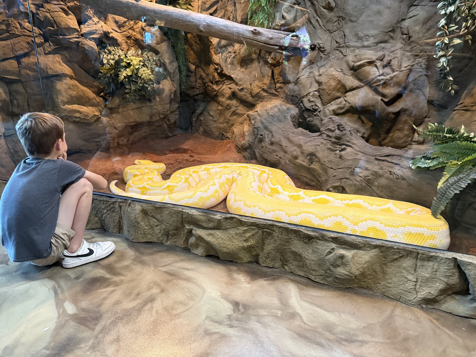 Snow Day Fun in Metro Detroit: 10 Indoor Places Kids Will Love 13 reptarium