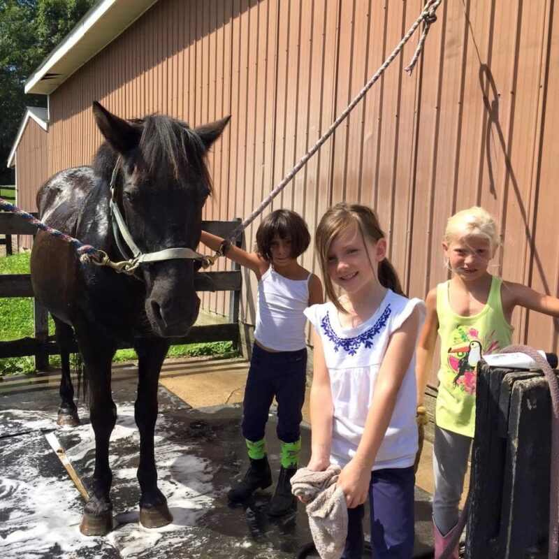 2026 Summer Camps Near Metro Detroit 5 Image 12