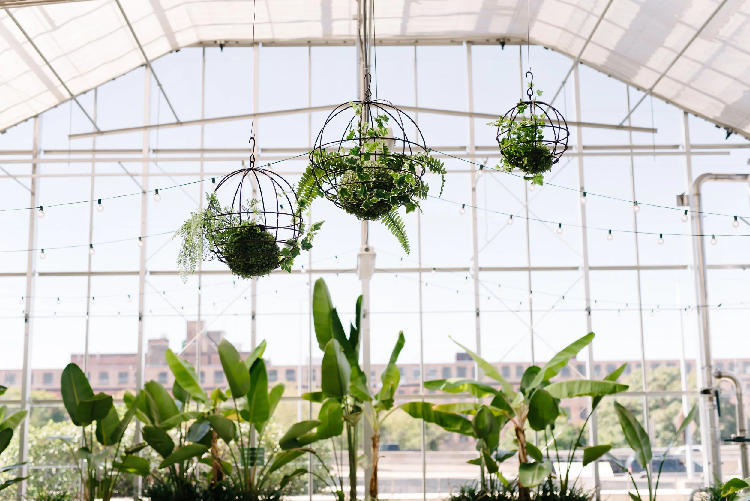 24 Hours in Grand Rapids, Michigan: A Complete Guide to the Perfect Quick Getaway 7 grand rapids downtown market venue greenhouse wedding hanging plants rachel gabrielse photography