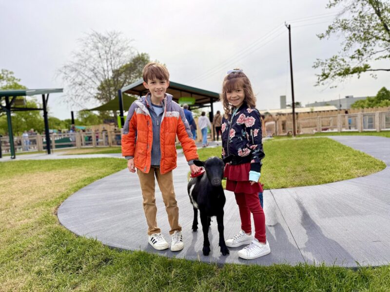 Detroit Zoo Opens New Fred and Barbara Erb Discovery Trails 7 goatzoo