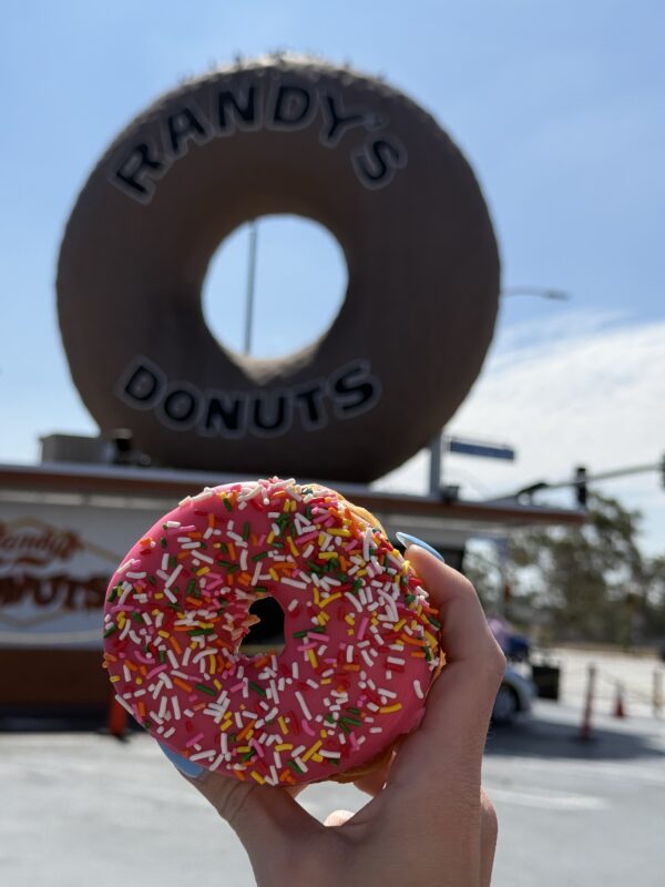 Southern California Travel Guide: Disneyland, Los Angeles & More 16 IMG 4508