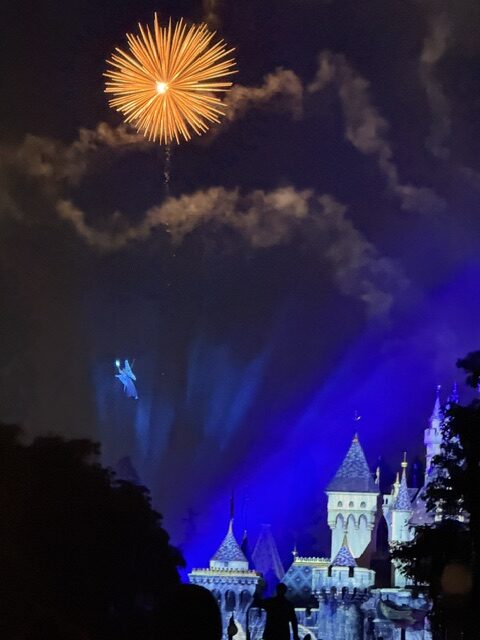 Southern California Travel Guide: Disneyland, Los Angeles & More 3 IMG 4928 rotated