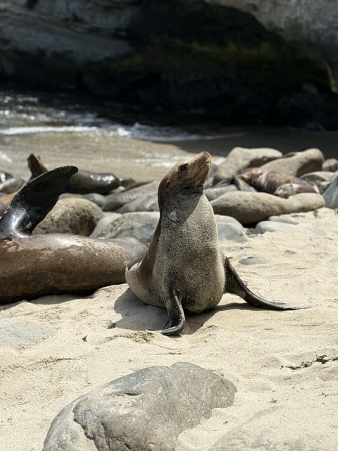 Southern California Travel Guide: Disneyland, Los Angeles & More 15 image1