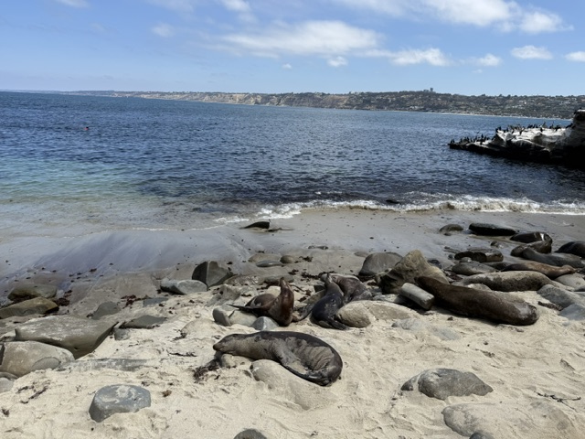 Southern California Travel Guide: Disneyland, Los Angeles & More 13 la jolla cove