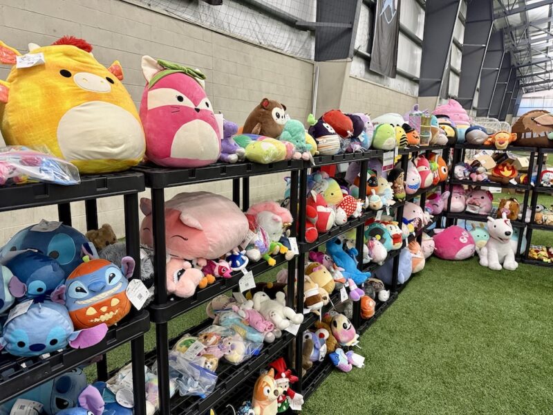 Save Big on Kids’ Clothes, Toys & More at the Just Between Friends Rochester/Macomb Fall Sale! 4 JBF Rochester