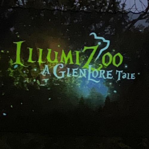 1 ig IllumiZoo Jon Ball Zoo (4)